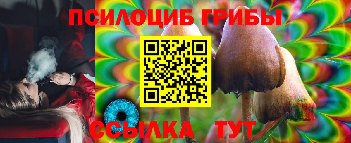 Псилоцибиновые грибы MAGIC MUSHROOMS  Галлюциногенные грибы Magic Shrooms  Пенза  Вход с VPN 